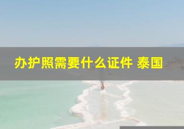 办护照需要什么证件 泰国